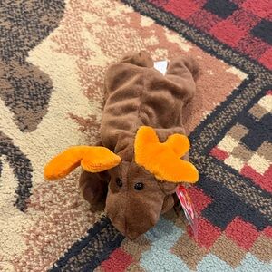 NWT TY Chocolate the Moose beanie baby